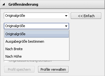 Bereich "Größenänderung": erweiterte Optionen