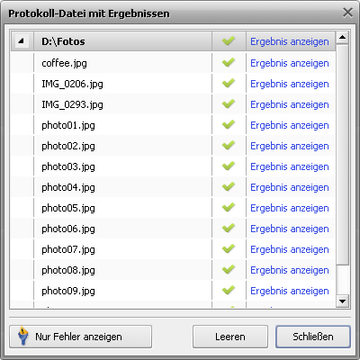 Fenster Protokoll-Datei mit Ergebnissen