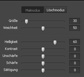 Einstellungen des Werkzeugs "Pinsel"