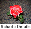 Scharfe Details