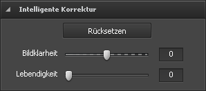 Sektion "Intelligente Korrektur"