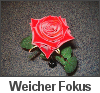 Weicher Fokus