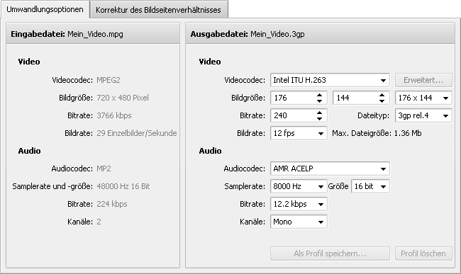 Registerkarte "Umwandlungsoptionen" - 3GP