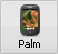 Button Palm