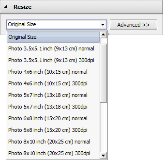 Resize Images panel