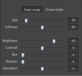 Brush tool settings