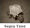 Sepia Tone