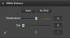 White Balance section