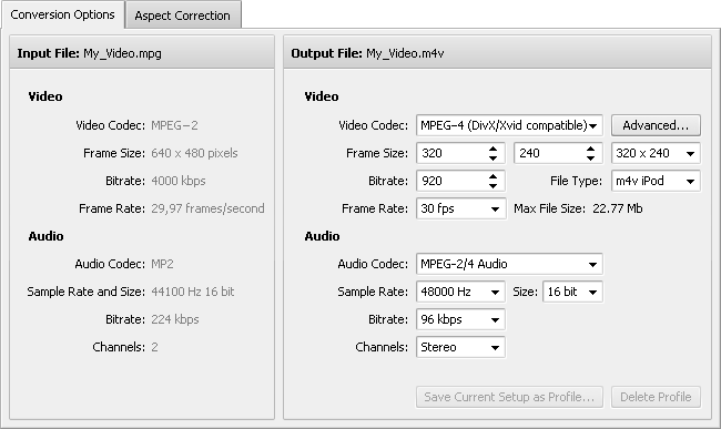 Conversion Options Tab - Apple