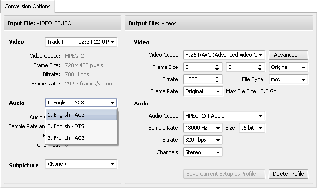 Conversion Options tab