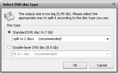 Select DVD Disc Type window