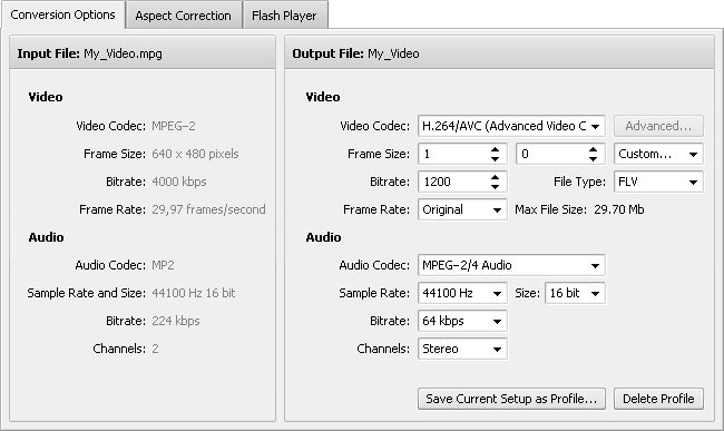 Conversion Options Tab - FLV