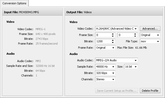 Conversion Options Tab