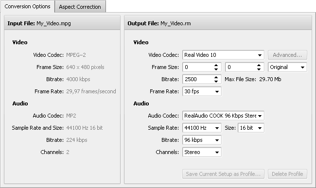 Conversion Options Tab - RM