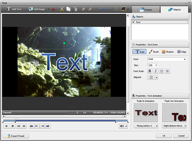 avs video editor text