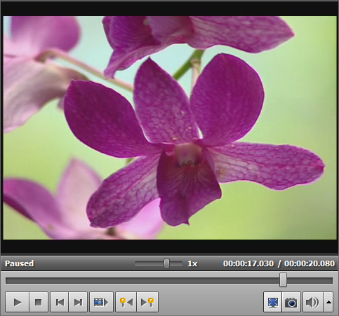 instal the new for apple AVS Video ReMaker 6.8.2.269