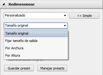 Ventana Cambiar tamaño: opciones avanzadas