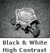 Black and White High Contrast