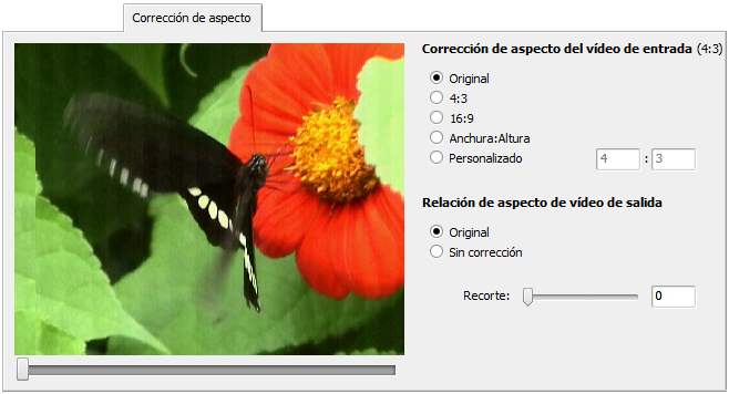 Aspect Correction tab