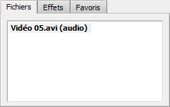 Fichier audio importé