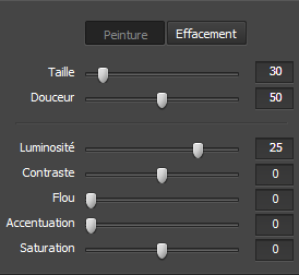 Paramètres de l'outil Pinceau