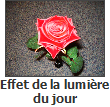 Effet de la lumière du jour