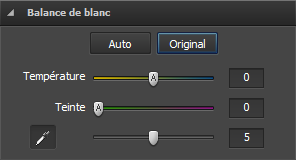 Section Balance de blanc