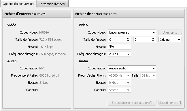 Onglet Options de conversion - GIF