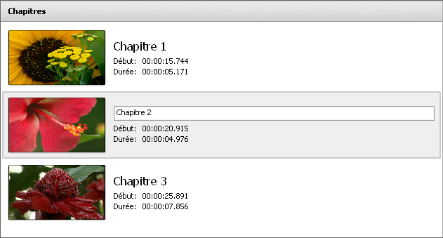 Zone d'éléments applicables - Chapitres