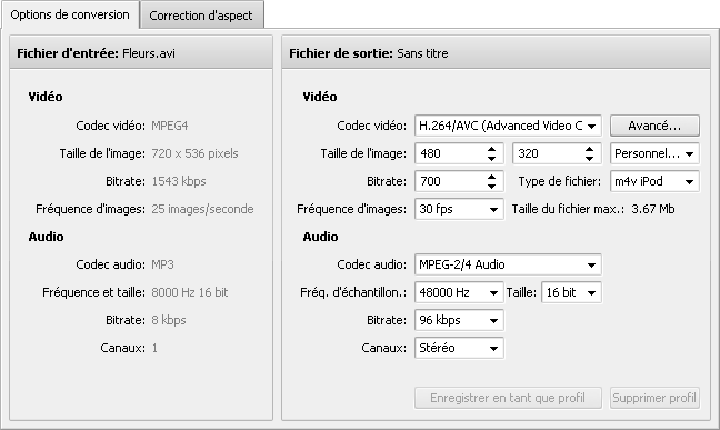 Onglet Options de conversion - Palm