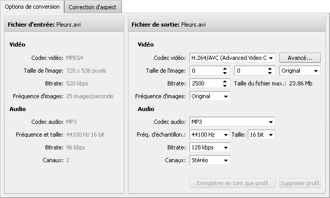 Onglet Options de conversion - TwitVid