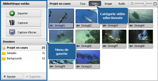 Zone Fichiers et Effets - Bibliothèque média