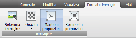 Scheda Formato immagine