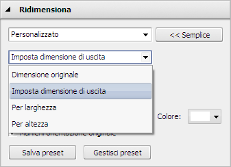 Pannello Ridimensiona: Opzioni avanzate