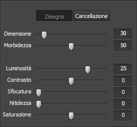 Impostazione dello strumento pennello