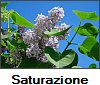 Saturazione