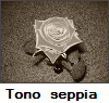 Tono seppia