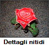 Dettagli nitidi