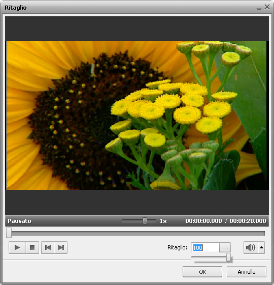 AVS4YOU >> AVS Video Editor >> Uso della funzione Ritaglio